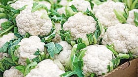 കോളിഫ്ലവർ ഫ്രഷായി സൂക്ഷിക്കാം, ഇതൊന്ന് ചെയ്താൽ മതി