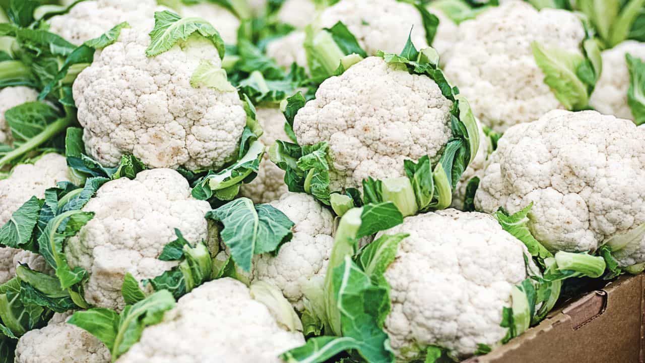 Cauliflower: കോളിഫ്ലവർ ഫ്രഷായി സൂക്ഷിക്കാം, ഇതൊന്ന് ചെയ്താൽ മതി