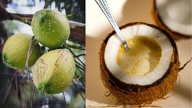 കാപ്പിക്കും മുൻപേ മലയാളി ശീലിച്ച ആ പഴയ തേങ്ങാപ്പാനിയെപ്പറ്റി...