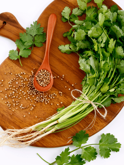 അടുക്കളയിൽ മല്ലിയില വളർത്താം, മണ്ണ് വേണ്ട