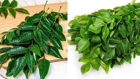 നരച്ച മുടിക്ക് കറിവേപ്പില തന്നെ മരുന്ന്; ഉപയോ​ഗിക്കേണ്ട രീതിയും ​