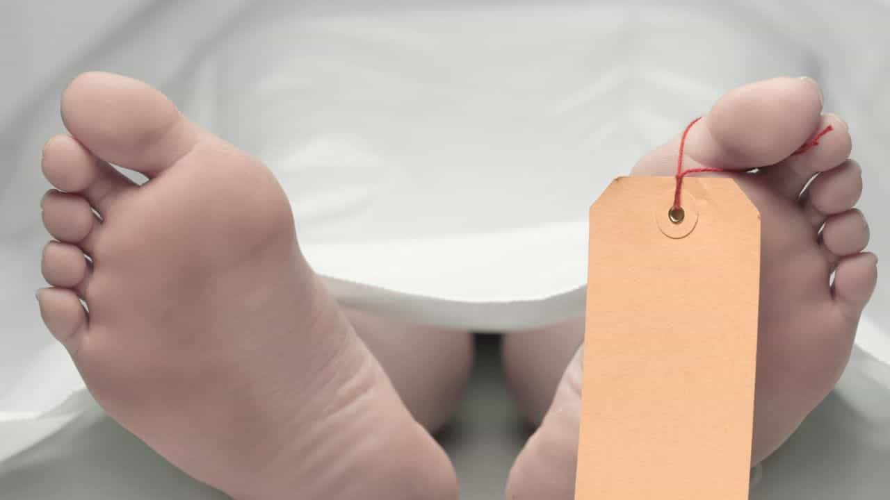 പാലക്കാട് വിഷുവിന് പടക്കം പൊട്ടിക്കുന്നതിനിടെ കയ്യിലുണ്ടായിരുന്ന ഗുണ്ട് പൊട്ടിത്തെറിച്ച് യുവാവിന് ദാരുണാന്ത്യം പാലക്കാട് വിഷുവിന് പടക്കം പൊട്ടിക്കുന്നതിനിടെ കയ്യിലുണ്ടായിരുന്ന ഗുണ്ട് പൊട്ടിത്തെറിച്ച് യുവാവിന് ദാരുണാന്ത്യം