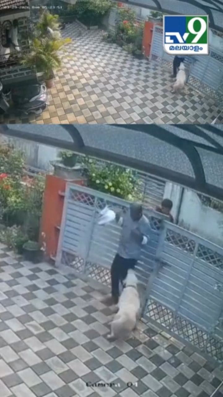 വോട്ട് ചോദിച്ചത് ഇഷ്ടപ്പെട്ടില്ലായിരിക്കും! വോട്ട് ചോദിച്ചെത്തിയവർക്ക് നേരെ പാഞ്ഞടുത്ത് വളർത്തുനായ