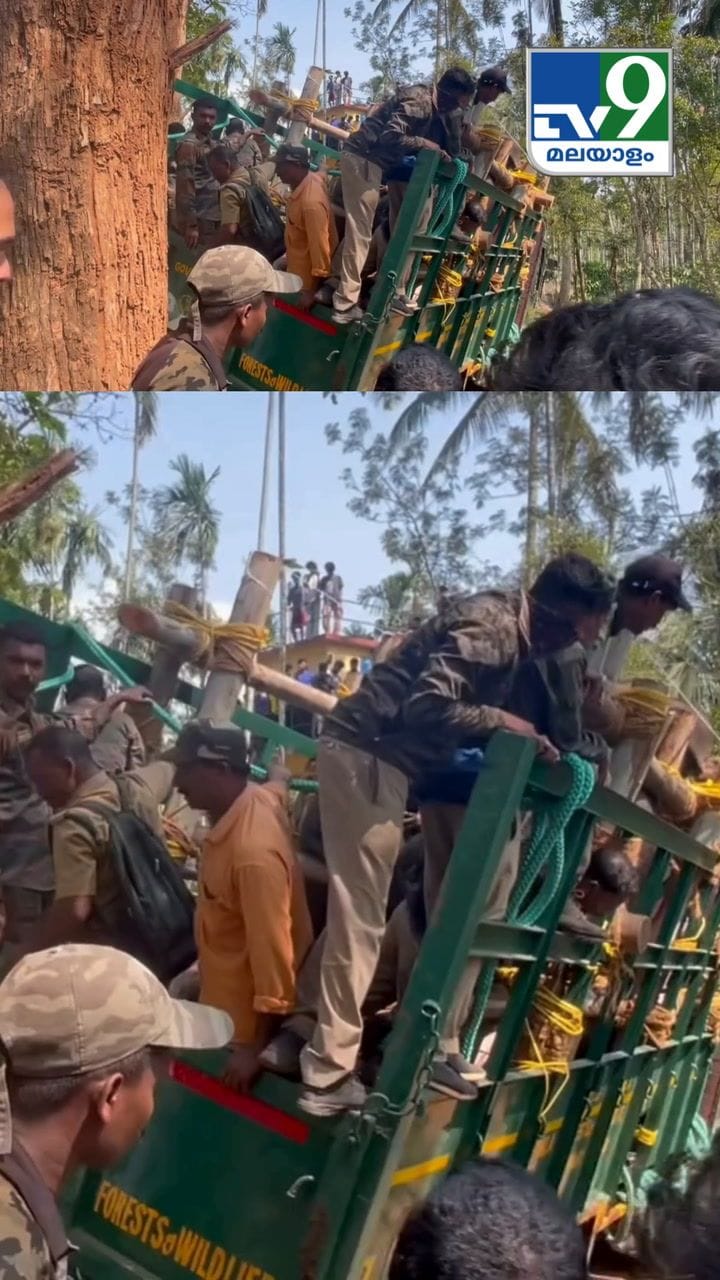 മുട്ടിക്കൊമ്പനെ കൊണ്ടുവരുന്ന ആനിമൽ ആംബുലൻസ് തിട്ടയിൽ തട്ടി ചരിഞ്ഞു