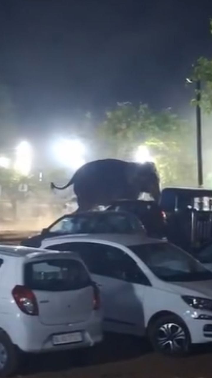 Viral Video: കണ്ണൂരിൽ ആനയിടഞ്ഞു, വണ്ടി തൂക്കിയൊരേറ്