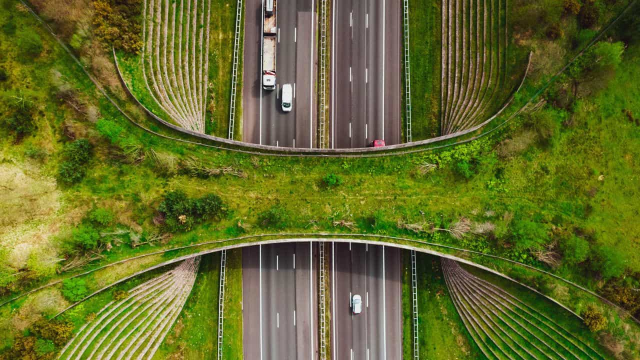 Bengaluru-Pune Expressway: 7 മണിക്കൂറില്‍ ബെംഗളൂരു-പൂനെ യാത്ര തീരും; എക്‌സ്പ്രസ് വേ ഉണ്ടല്ലോ, വേഗത്തില്‍ പോകാന്‍