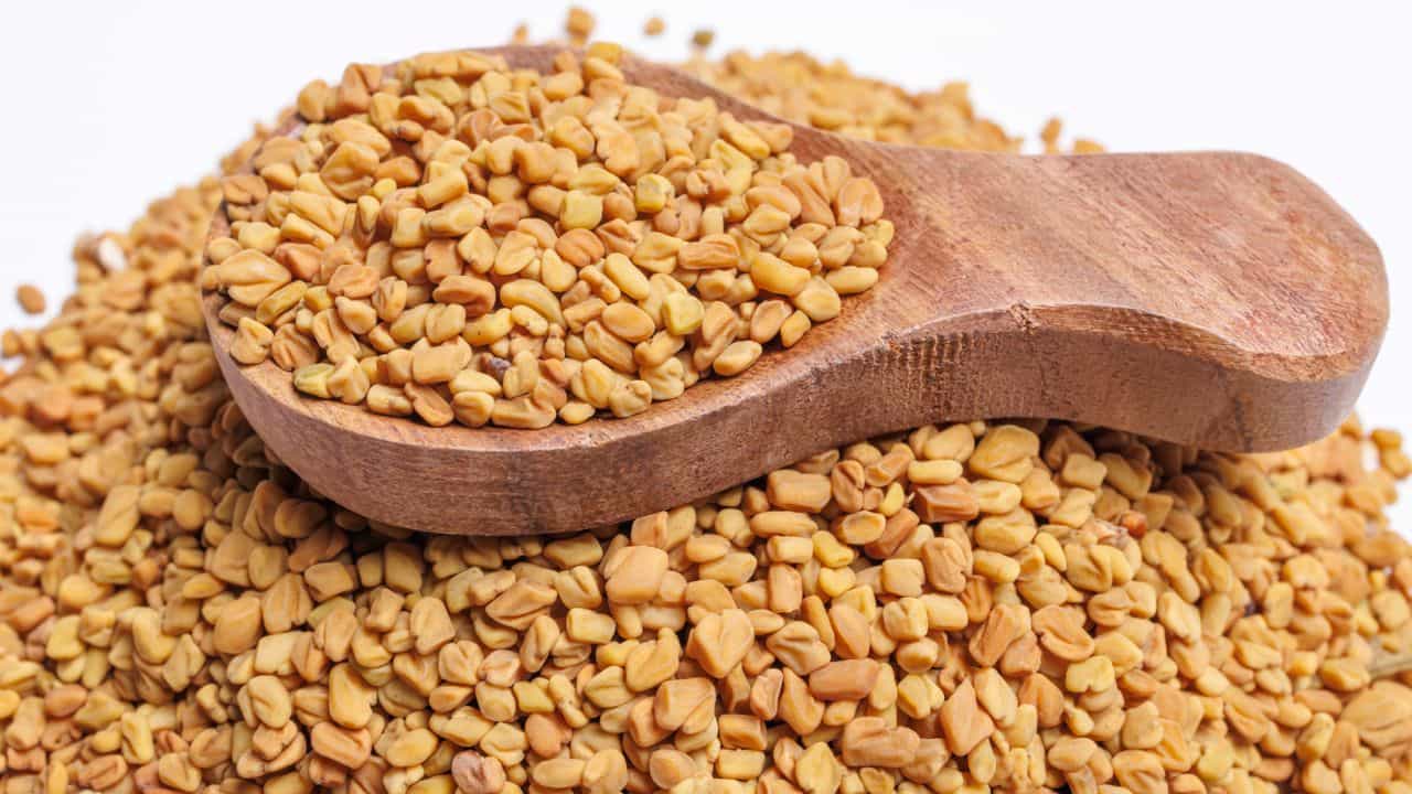 Fenugreek Water: 21 ദിവസം, ഉലുവ വെള്ളം കുടിച്ചാൽ ശരീരത്തിന് എന്ത് സംഭവിക്കും?