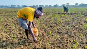 ഇന്ത്യയില്‍ ഭക്ഷ്യക്ഷാമം ഉണ്ടാകും, കൃഷി ചെയ്യാന്‍ വളമില്ല!