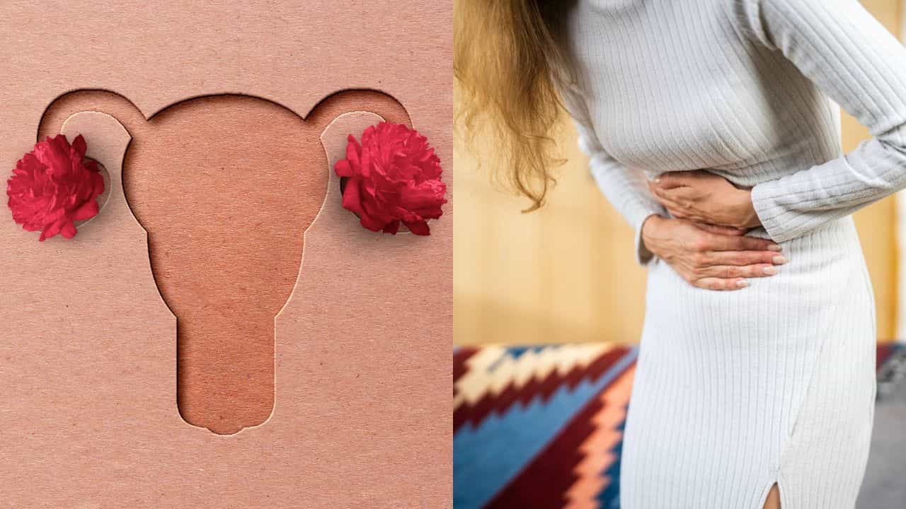 First Periods Health: ആർത്തവ വേദനയും ശാരീരിക മാറ്റങ്ങളും; ആദ്യമായി പീരിയഡ്സ് ആകുന്നതിന് മുമ്പ് പെൺകുട്ടികൾ ശ്രദ്ധിക്കേണ്ടത്