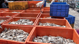 Vishu 2026: വിഷു കൈനീട്ടം ഡിജിറ്റലാക്കിയാലോ…യുപിഐ ആപ്പുകളുണ്ടല്ലോ..