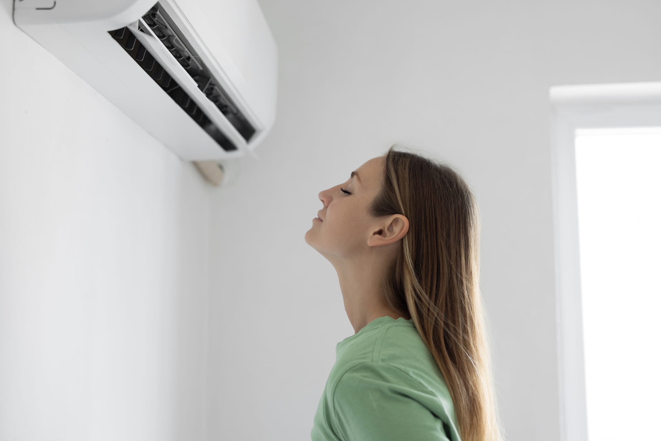 വീടിനുള്ളിലെ ചൂട് കുറയ്ക്കാൻ ഏറ്റവും നല്ല മാർ​ഗങ്ങളിൽ ഒന്നാണ് ഇൻഡോർ പ്ലാൻ്റുകൾ വളർത്തുക എന്നത്. കറ്റാർവാഴ, സ്നേക്ക് പ്ലാന്റ്, മണി പ്ലാന്റ് തുടങ്ങി വീടിനുള്ള വളർത്താൻ സാധിക്കുന്ന ചെടികൾ വായു ശുദ്ധീകരിക്കാനും അതോടൊപ്പം വീടിനുള്ളിൽ തണുപ്പ് നൽകാനും സഹായിക്കും.
