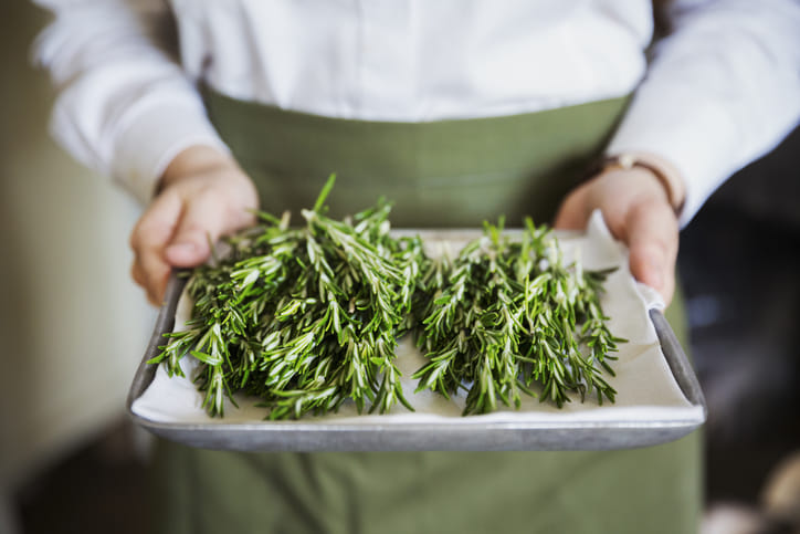 ഫ്രഷ് റോസ്മേരി: ഇവയിൽ പ്രകൃതിദത്തമായ എസൻഷ്യൽ ഓയിലുകൾ ശുദ്ധമായ രൂപത്തിൽ അടങ്ങിയിട്ടുണ്ട്. നേരിട്ട് ചെടിയിൽ നിന്ന് പറിച്ചെടുക്കുന്നതാണെങ്കിൽ കൂടുതൽ നല്ലതാണ്. കാരണം അവയിൽ രാസവസ്തുക്കളുടെ സാന്നിധ്യം ഉണ്ടാകില്ല. നല്ല സുഗന്ധവും ഉണ്ടാകും. വീട്ടിൽ നട്ടുവളർത്തിയവയാണ് കൂടുതൽ നല്ലത്.
