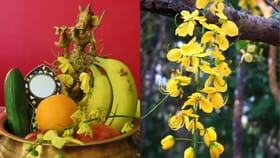 കൈനീട്ടവും കണിപ്പൂക്കളുമായി മറ്റൊരു വിഷുക്കാലം കൂടി; വിഷു ആശംസകൾ