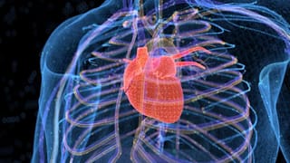 Dhurandhar-2: ധുരന്ധർ ഓവർറേറ്റഡ്, കറാച്ചി അങ്ങനെയല്ല; ചിത്രത്തിലെ പിഴവുകൾ എണ്ണിപ്പറഞ്ഞ് പാകിസ്താനി യുവാവ്