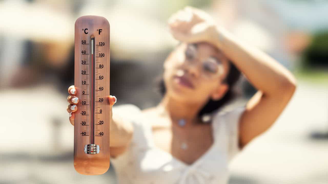 Kerala Heatwave: യാത്ര ഇവിടേക്ക് വേണ്ടാ, കേരളത്തില്‍ കൂടുതല്‍ ചൂട് ഇവിടങ്ങളില്‍