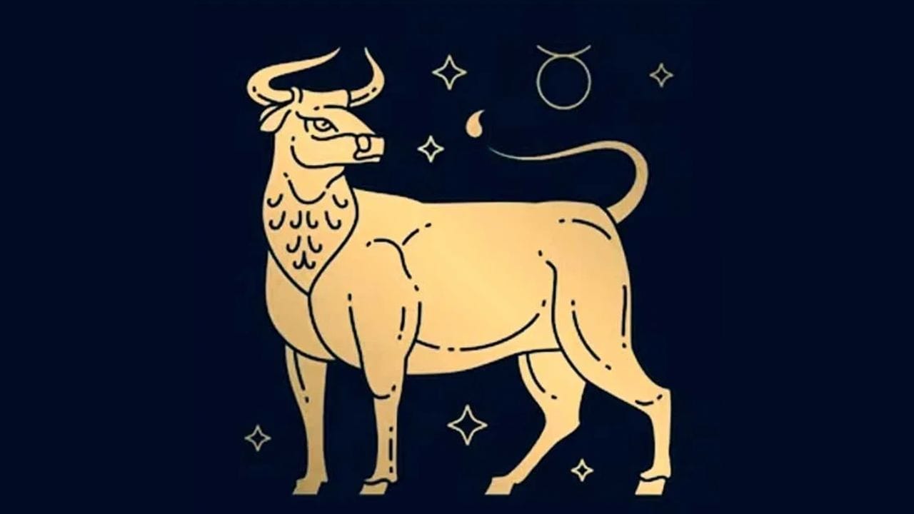 ഇടവം:ഈ മാറ്റം ഇടവം രാശിക്കാർക്ക് സാമ്പത്തികമായി ഗുണകരമാകും. ബിസിനസിലും ജോലിയിലും പുരോഗതിയും പുതിയ അവസരങ്ങളും ഉണ്ടാകും. നിക്ഷേപങ്ങൾ ലാഭം ഉണ്ടാക്കും. പുതിയ വരുമാന മാർഗ്ഗങ്ങൾ തുറന്നു വരാൻ സാധ്യത. എന്നിരുന്നാലും സംസാരത്തിൽ ശ്രദ്ധ പാലിക്കുക. (PHOTO: TV9 NETWORK) 