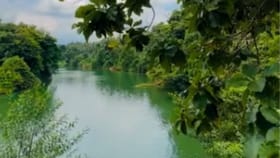 മുക്കം ഇരുവഴിഞ്ഞി പുഴയിൽ കുളിക്കാനിറങ്ങിയവരെ നീർനായ കടിച്ചു