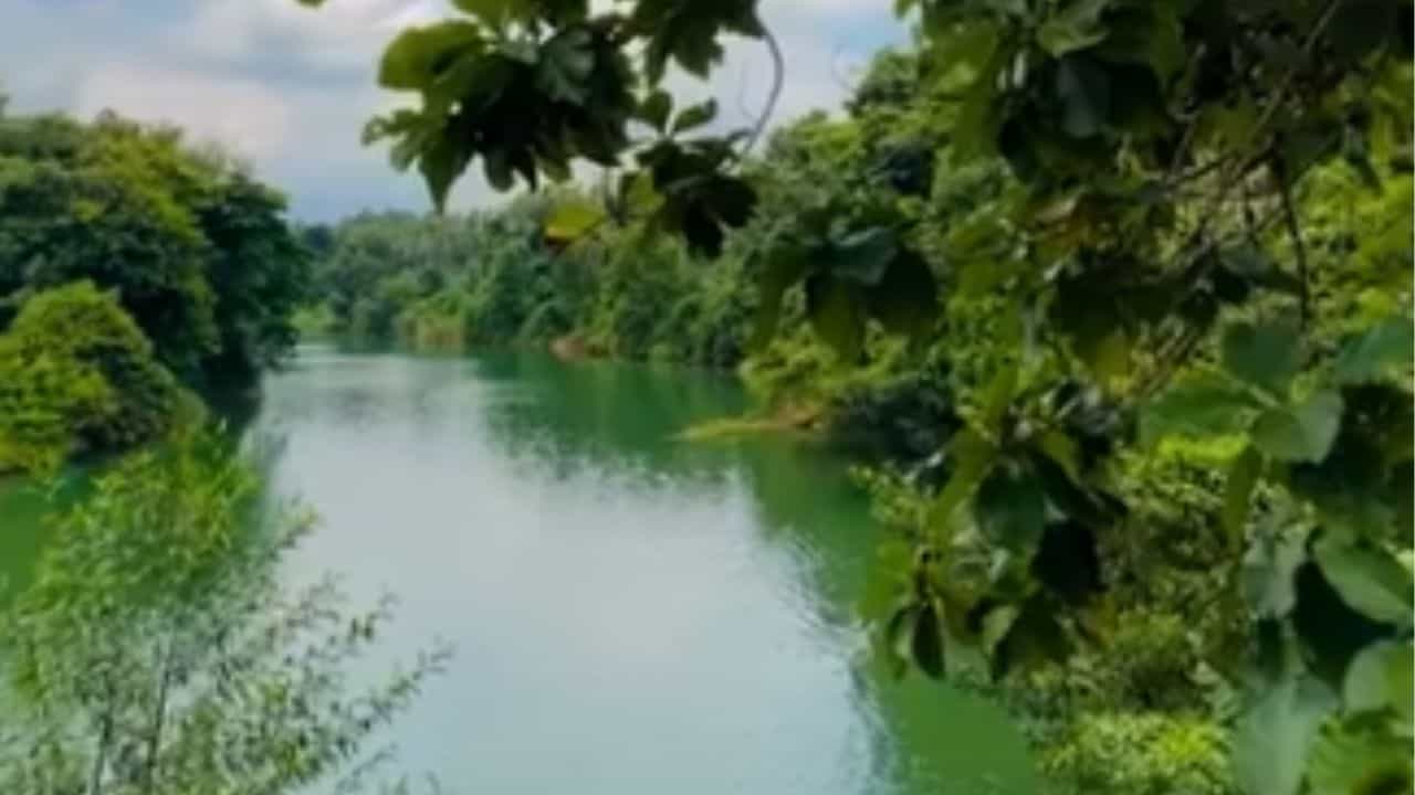 Otter Bite Incident: മുക്കം ഇരുവഴിഞ്ഞി പുഴയിൽ കുളിക്കാനിറങ്ങിയവരെ നീർനായ കടിച്ചു; കുട്ടികൾ ഉൾപ്പെടെയുള്ളവർക്ക് പരിക്ക്