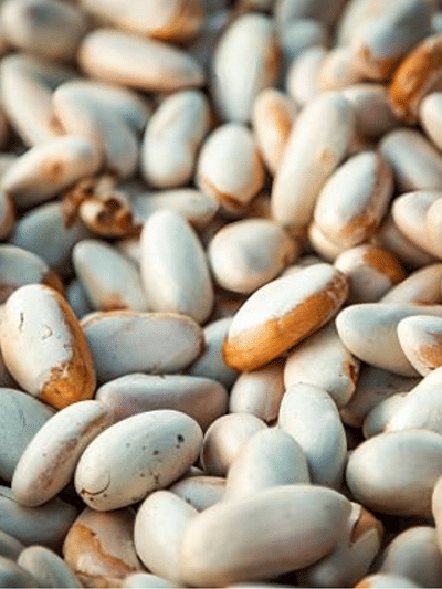 ചക്കക്കുരു അച്ചാർ കഴിച്ചിട്ടുണ്ടോ? സംഗതി ടേസ്റ്റിയുമാണ് ഈസിയുമാണ്