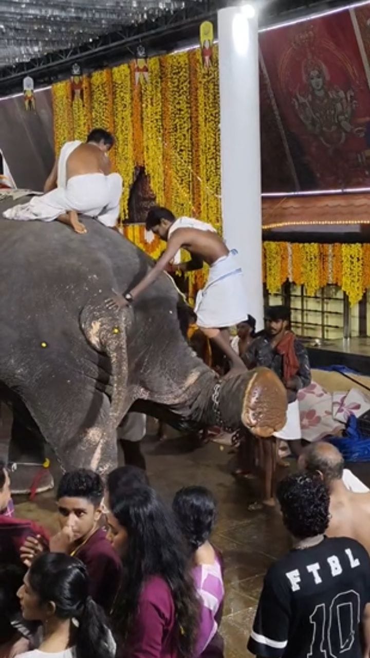 ആനപ്പുറത്ത് നിന്നിറങ്ങാൻ പ്രതിസന്ധിയോ?