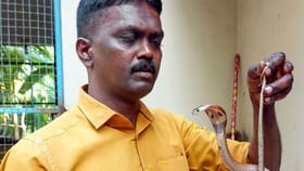 പാമ്പുകടിയേറ്റുള്ള മരണം തടയാം; കർമ്മ പദ്ധതിയുമായി വനംവകുപ്പ്