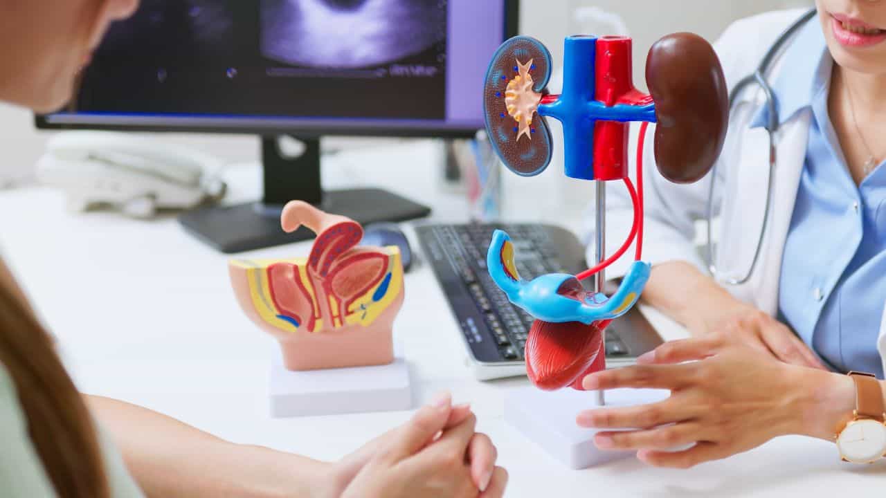 Kidney Health: പ്രമേഹമുണ്ടോ? ഈ ഭക്ഷണ ശീലങ്ങൾ നിങ്ങളുടെ വൃക്കകളെ അപകടത്തിലാക്കാം Kidney Health: പ്രമേഹമുണ്ടോ? ഈ ഭക്ഷണ ശീലങ്ങൾ നിങ്ങളുടെ വൃക്കകളെ അപകടത്തിലാക്കാം
