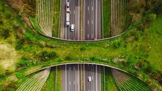 Market Price: നാരങ്ങയ്ക്ക് തീവില, മീൻ വാങ്ങിയാൽ പോക്കറ്റ് കാലി!