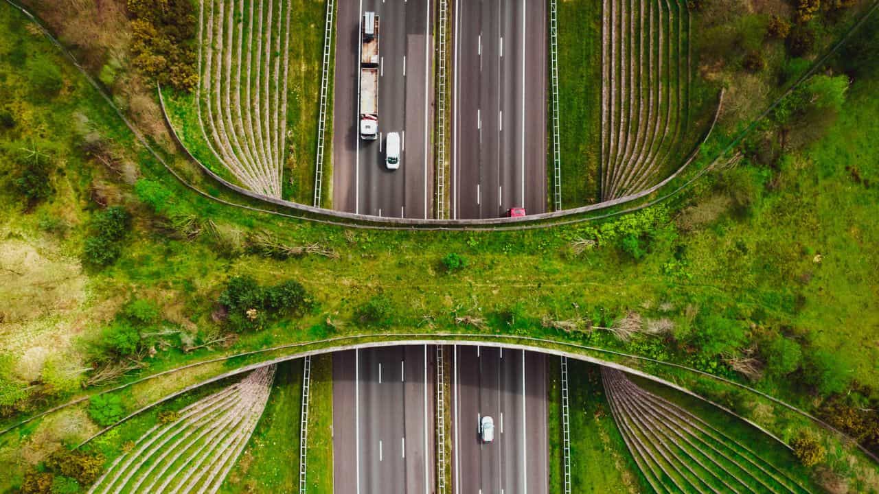 Kochi-Kottayam Highway: കൊച്ചീന്ന് പുറപ്പെട്ടാല്‍ സെക്കന്‍ഡില്‍ വീട്ടിലെത്താം; ഈ പാത ഒന്ന് തുറന്നോട്ടേ