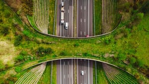 Kochi-Kottayam Highway: കൊച്ചീന്ന് പുറപ്പെട്ടാല്‍ സെക്കന്‍ഡില്‍ വീട്ടിലെത്താം; ഈ പാത ഒന്ന് തുറന്നോട്ടേ