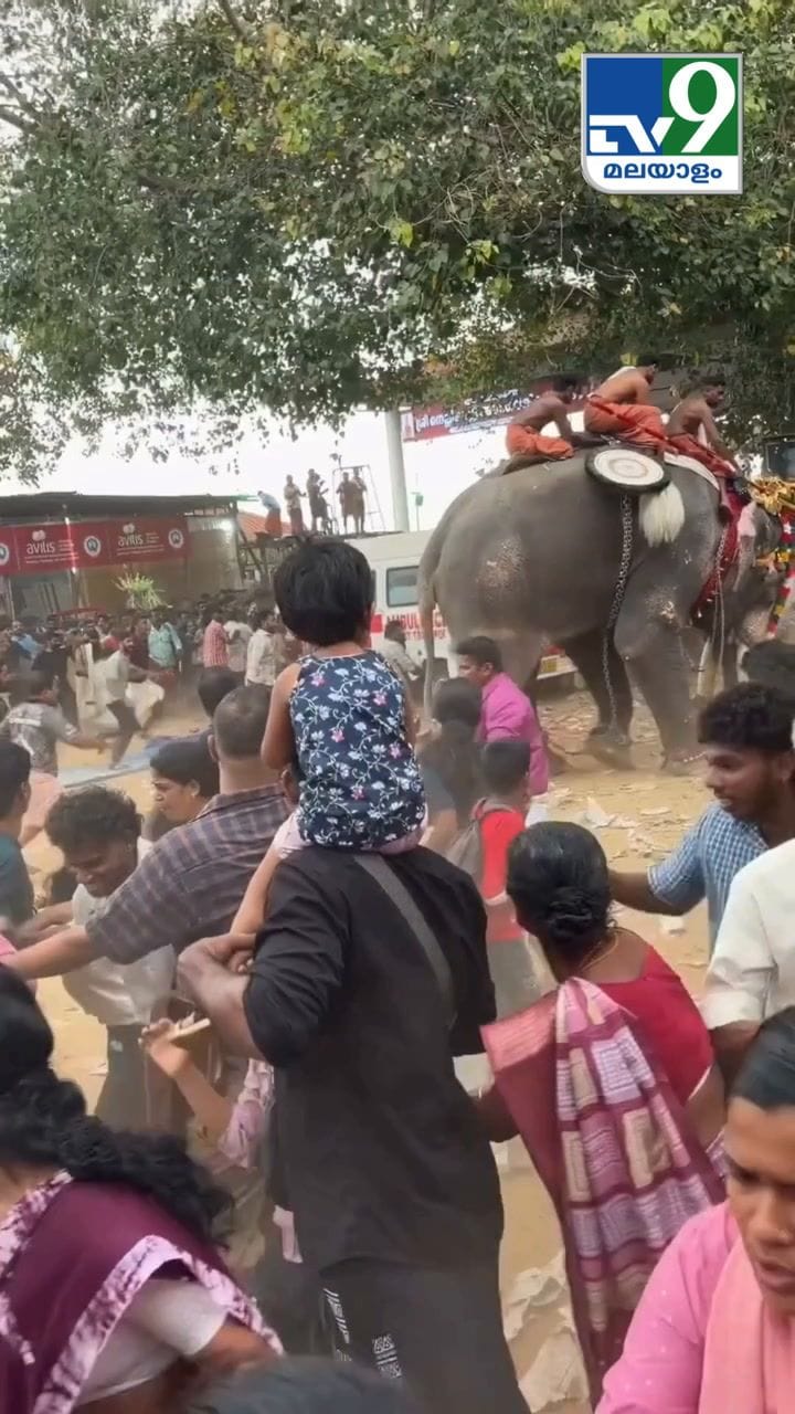 നെന്മാറ വെല്ലങ്ങി വേലയ്ക്കിടെ ആന വിരണ്ടോടിയപ്പോൾ