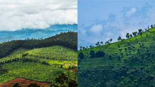 Mangaladevi Trekking: കൊടുംവനത്തിലെ കണ്ണകി ക്ഷേത്രം; മംഗളാദേവി വനയാത്ര എപ്പോൾ? അറിയേണ്ടത്