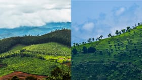 Ooty Summer Travel: ആരെയും മയക്കുന്ന തണുപ്പ്, മനം നിറയ്ക്കുന്ന പച്ചപ്പ്; വേനൽക്കാല യാത്ര ഊട്ടിയിലേക്ക് തന്നെ...