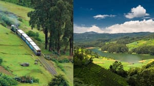 Ooty Travel Guide: ഊട്ടി യാത്രയിൽ പണികിട്ടാതിരിക്കാൻ ഇക്കാര്യങ്ങൾ ശ്രദ്ധിക്കൂ; സഞ്ചാരികൾ അറിഞ്ഞിരിക്കേണ്ടത്
