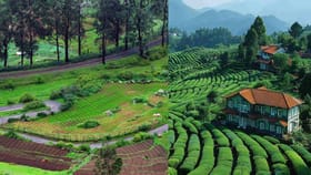 ഊട്ടി യാത്രയ്ക്ക് ഒരുങ്ങുകയാണോ: ഈ സ്പോട്ടുകൾ മിസ്സാക്കരുതേ