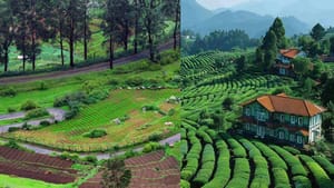 Ooty Summer Travel: മഞ്ഞും മലയും പൂക്കളും! ഊട്ടി യാത്രയ്ക്ക് ഒരുങ്ങുകയാണോ: ഈ സ്പോട്ടുകൾ മിസ്സാക്കരുതേ
