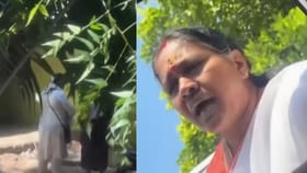 പാലക്കാട്ടെ വോട്ട് കച്ചവടം; ബിജെപി പ്രവർത്തകർക്കെതിരെ കേസെ...