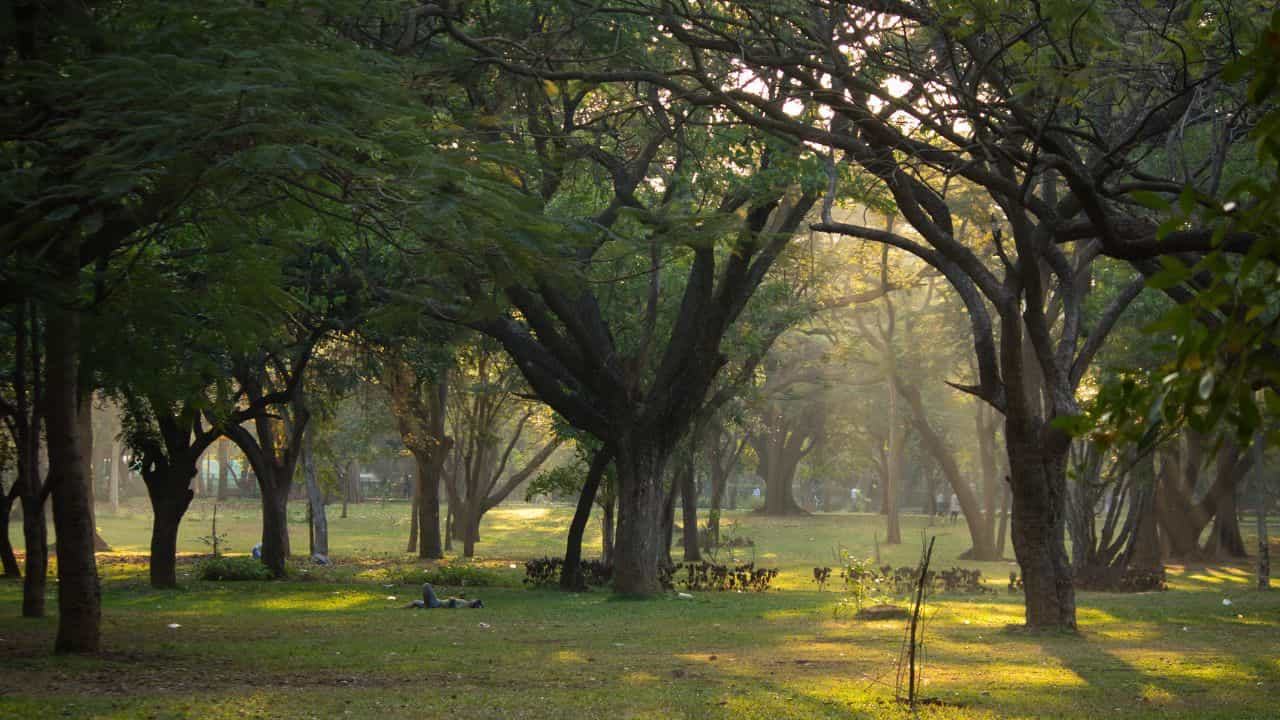 Panampilly Nagar Parks: പനമ്പിള്ളി നഗറിലെ ആ രണ്ട് പാര്‍ക്കുകള്‍ വെറുതെ പൂട്ടിയതല്ല; പിന്നില്‍ നിഗൂഢത