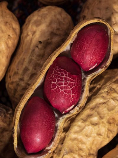 പ്രമേഹരോഗികള്‍ക്ക് കപ്പലണ്ടി  കഴിക്കാമോ?