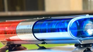 Thrissur Snakebite Incident: തലയണയുടെ അടിയിൽ പാമ്പ്; തൃശ്ശൂരിൽ എട്ടുവയസ്സുകാരൻ മരിച്ചു, സഹോദരൻ്റെ നില അതീവ ​ഗുരതരം