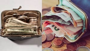 Purse Vastu Tips: പഴ്സിൽ പണം എന്നും നിറഞ്ഞിരിക്കും! ഇവ സൂക്ഷിച്ചാൽ മതി