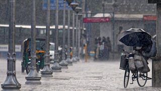 Thrissur Pooram 2026: തൃശ്ശൂർ പൂരം ആന എഴുന്നള്ളത്ത്, ഹർജിയിൽ ഉടൻ ഇടപെടാനാവില്ലെന്ന് ഹൈക്കോടതി