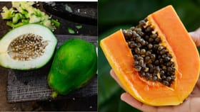 ശരീരഭാരം കുറയ്ക്കാൻ പപ്പായ ശീലമാക്കാം; പച്ചയോ പഴുത്തതോ മികച്ചത്