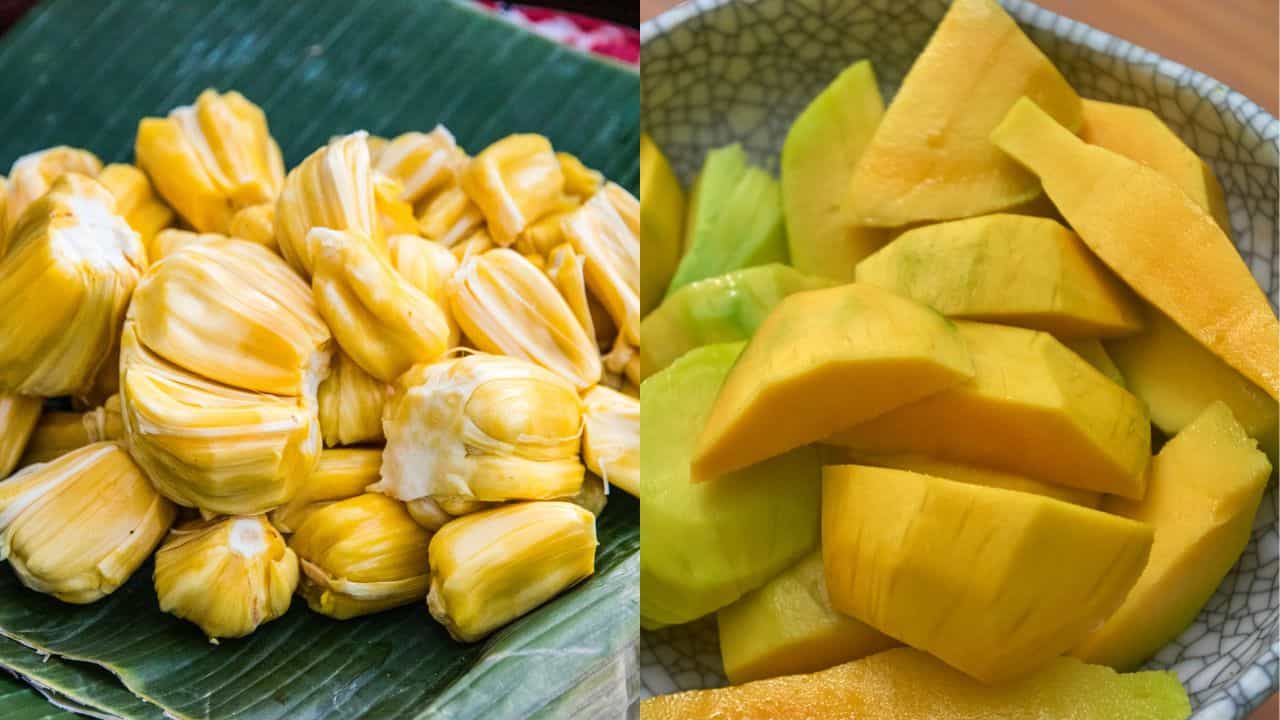 Summer Health Tips: പ്രമേഹം വില്ലനാവില്ല... ചക്കയും മാങ്ങയും കഴിക്കാം ധൈര്യമായി; കഴിക്കേണ്ടത് ഇങ്ങനെ