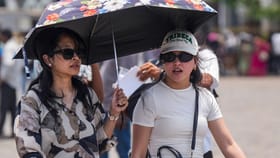 വെള്ളയോ കറുപ്പോ? ചൂടിനെ പ്രതിരോധിക്കാൻ ഏത് നിറമാണ് മികച്ചത്