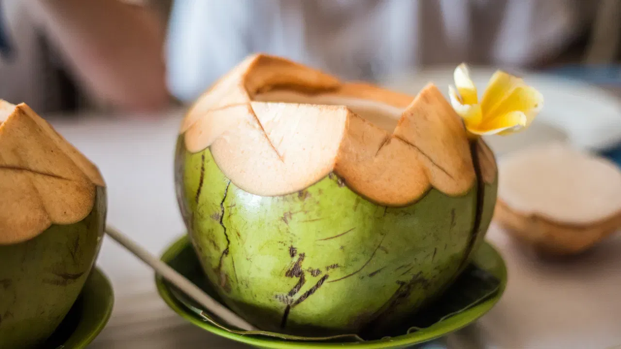 കരിക്കിൽ വെള്ളമാണോ കാമ്പാണോ കൂടുതൽ എന്നറിയാൻ അതൊന്ന് കുലുക്കി നോക്കിയാൽ മതി. ശബ്ദം തീരെയില്ലെങ്കിൽ അതിൽ നിറയെ വെള്ളമുണ്ടെന്നും എന്നാൽ കാമ്പ് തീരെ ഉണ്ടാകില്ലെന്നും മനസ്സിലാക്കാം. ചെറിയ ശബ്ദം കേൾക്കുന്നുണ്ടെങ്കിൽ കുടിക്കാനുള്ള വെള്ളത്തിനൊപ്പം പാകത്തിനുള്ള മൃദുവായ കാമ്പും ഉണ്ടാകും. വലിയ ശബ്ദത്തിൽ വെള്ളം കുലുങ്ങുന്നുണ്ടെങ്കിൽ അത് തേങ്ങയാകാൻ തുടങ്ങിയതാണെന്നും ഉള്ളിൽ വെള്ളം കുറവാണെന്നും തിരിച്ചറിയുക.