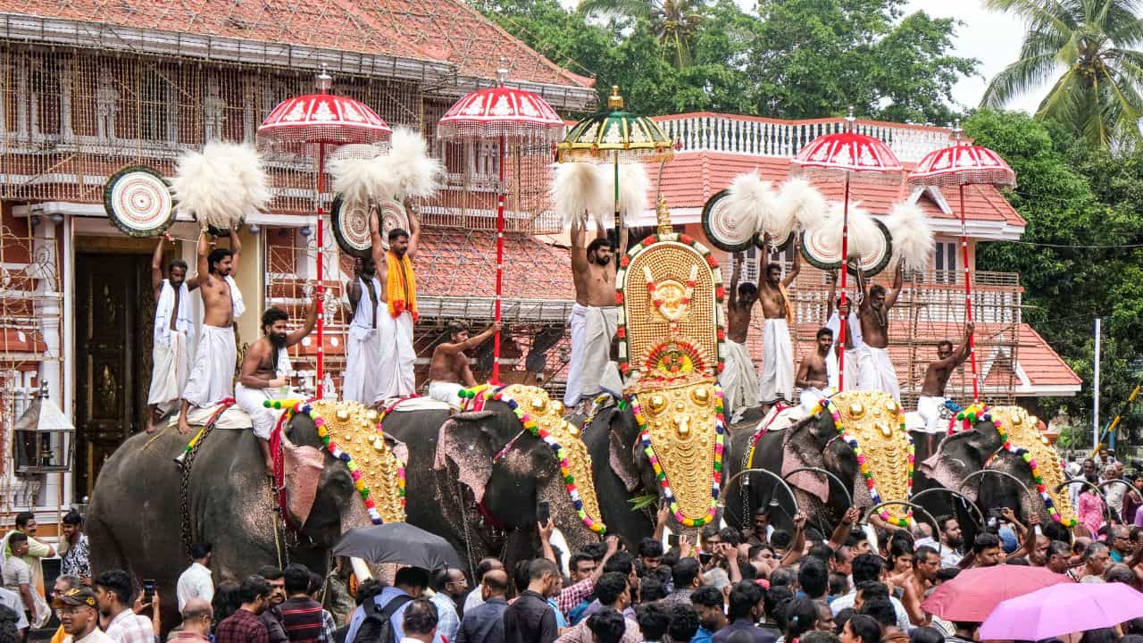 Thrissur Pooram 2026: തൃശ്ശൂർ പൂരം കൂടണ്ടേ!; പൂരനഗരിയിലേക്ക് പോകും മുമ്പ് ശ്രദ്ധിക്കേണ്ടത്