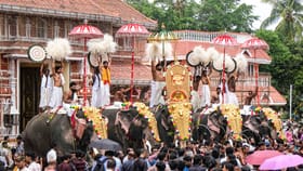Thrissur Pooram 2026: തൃശ്ശൂർ പൂരം കൂടണ്ടേ!; പൂരനഗരിയിലേക്ക് പോകും മുമ്പ് ശ്രദ്ധിക്കേണ്ടത്...