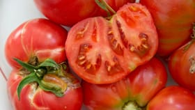 തക്കാളിയും പഞ്ചസാരയുമുണ്ടോ... കരിവാളിപ്പ് മാറി മുഖം തിളങ്ങും