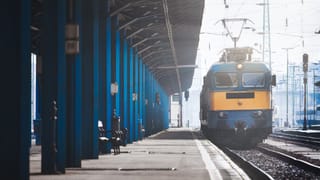 Mathura boat capsizes: മഥുരയിൽ യമുനാ നദിയിൽ ബോട്ട് മറിഞ്ഞു 10 തീർത്ഥാടകർ മരിച്ചു