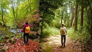 Mookambika Temple Budget Rooms: മൂകാംബികയിൽ കുറഞ്ഞ നിരക്കിൽ എവിടെ റൂം കിട്ടും? ദാ നോക്കിക്കോളൂ